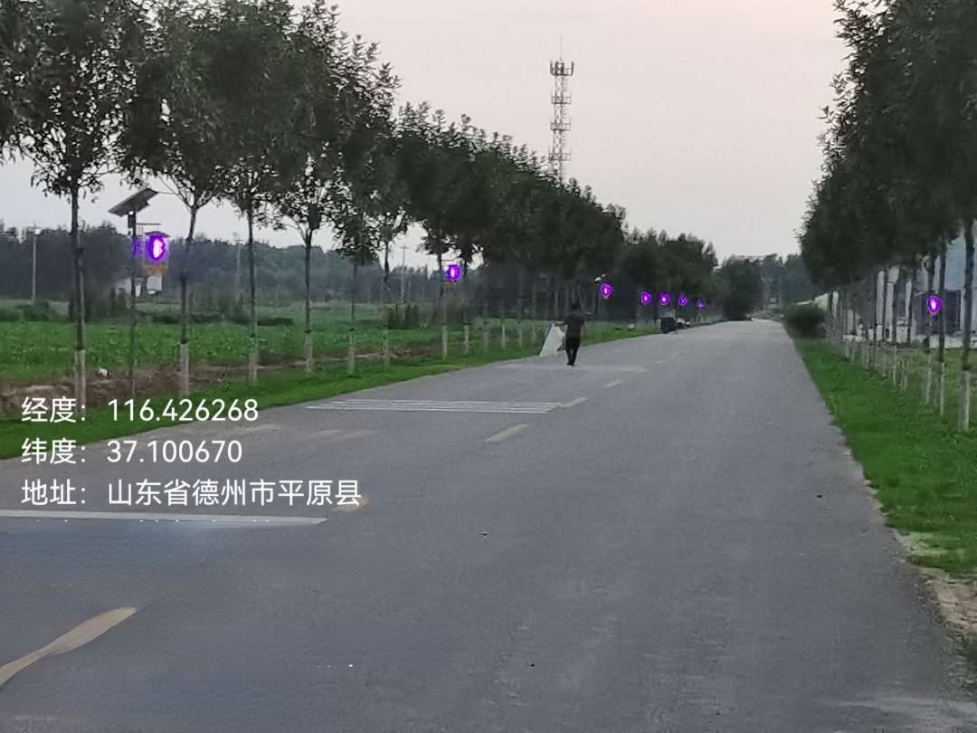 杀虫灯开灯.jpg